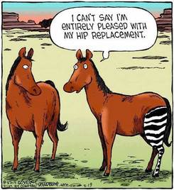 Picture of a horse with one zebra's leg, saying 